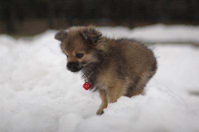Dec13_04_148.JPG
