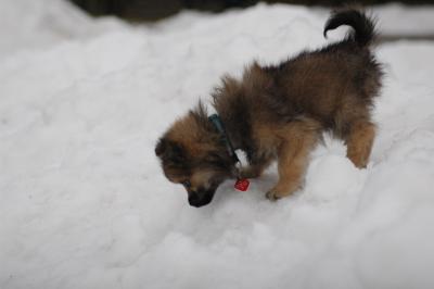 Dec13_04_149.JPG