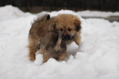 Dec13_04_155.JPG