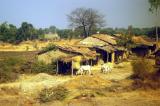 Village in Madhya Pradesh