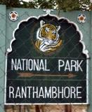 Click for the Ranthambhore trip report