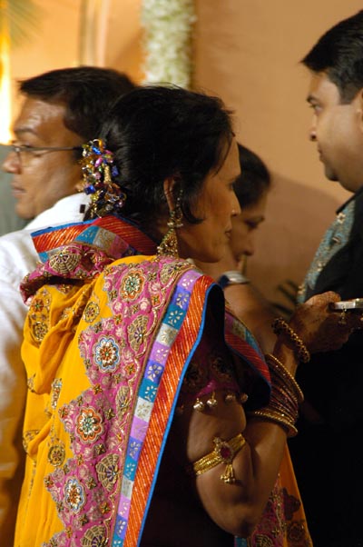 Woman in an amazing sari