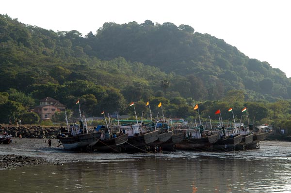 The fishing fleet grouned at low tide for maintenance