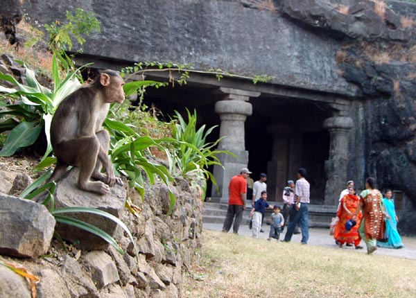 Monkey watching over the main cave temple