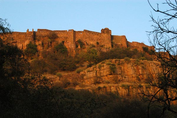 Ranthambhore Fort