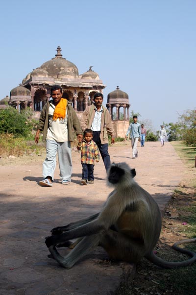 Ranthambhore Fort