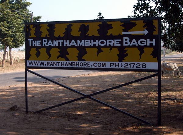 The Rathambhore Bagh is a good place to stay