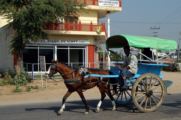 Horse Cart on, you guessed it, Ranthambhore Road