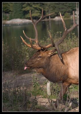 CRW_5362.jpg