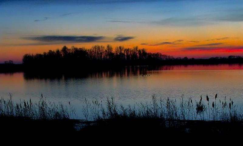 Bombay Hook Wildlife Refuge