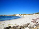 Rottnest Island, WESTERN AUSTRALIA