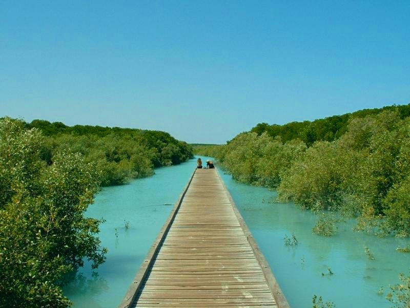 Jetty