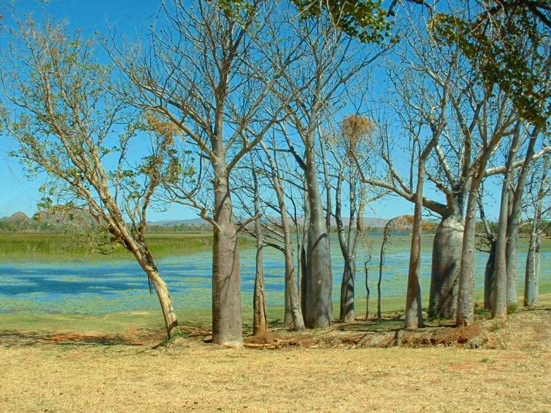 Lake Kununurra, WESTERN AUSTRALIA