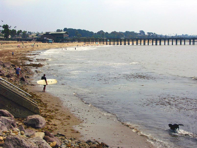 Ventura Surfer and Pier.jpg