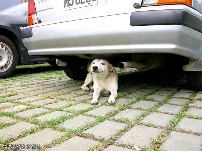 u8/boogier/medium/32867683.nameless3373.jpg