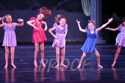 IMG_2383.jpg