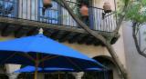 Blue Umbrellas