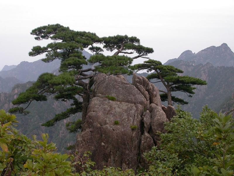 Yellow Mountains