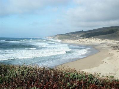 P2024888_PescaderoBeachIF.jpg