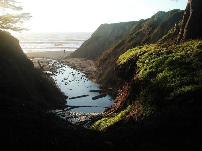 P2024919_FallsIF.jpg
