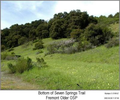 0P3095691_HillsideIF.jpg