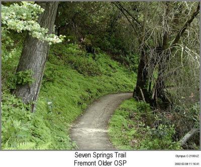 0P3095697_Trail.jpg