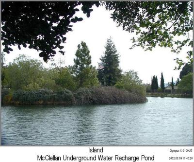 0P3095711_IslandFlagIF.jpg