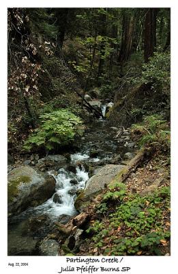 Partington Creek in Big Sur