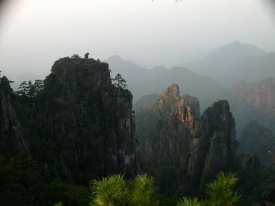 Monkey rock