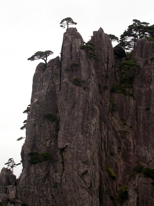 Yellow Mountains