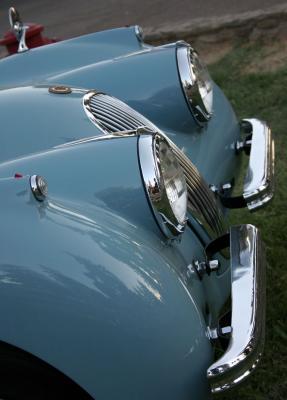 IMG_2177.jpg
