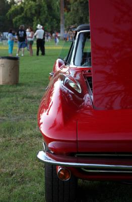 IMG_2196.jpg