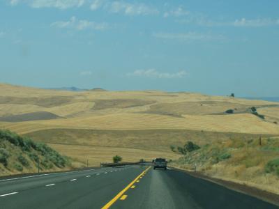 North central Oregon landscape (N of Dufur)
