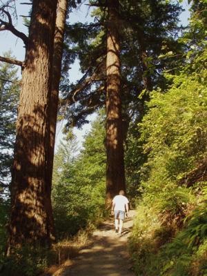 Trail to the upper falls