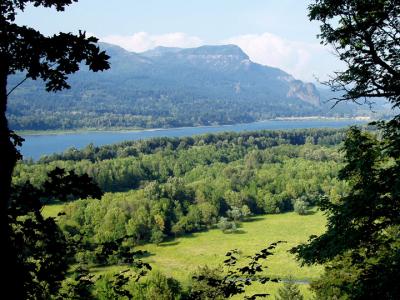 Another Gorge panorama with Beacon Rock in distance