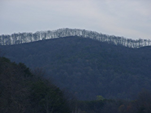 03290035.jpg