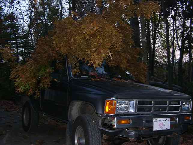 one of the many truckloads of tree trash