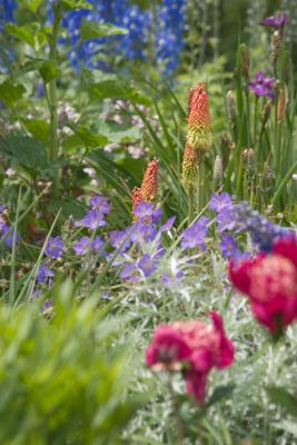 In the garden - Waterloo Park