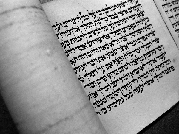Scroll 1