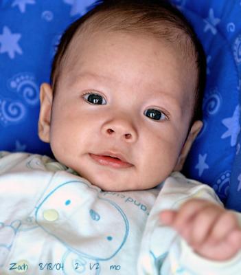 10-Weeks.jpg