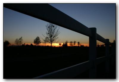 Fence View