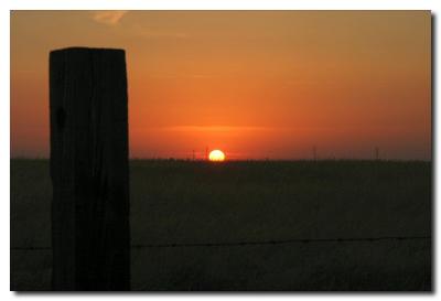 u8/cdsims/medium/32778988.IMG_4635pbase2.jpg