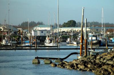 Crescent City Ca docks5