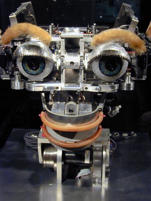 Kismet, The Sociable Robot