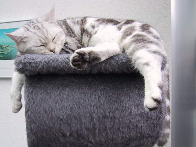 Totally relaxed