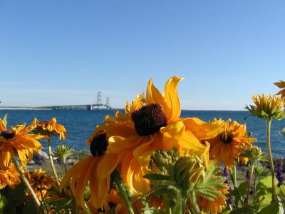 Mackinac Bridge