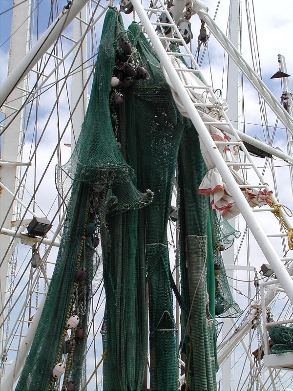 Biloxi Shrimp Boats