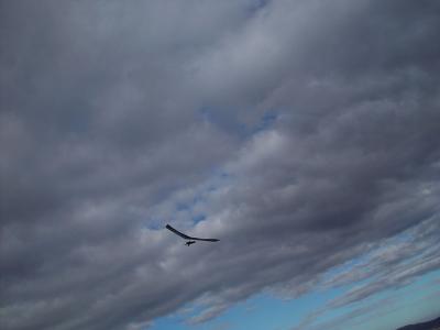 DSC02967.jpg