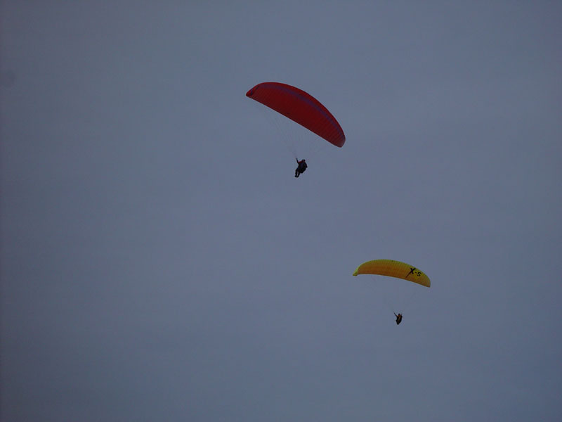 DSC02990.jpg