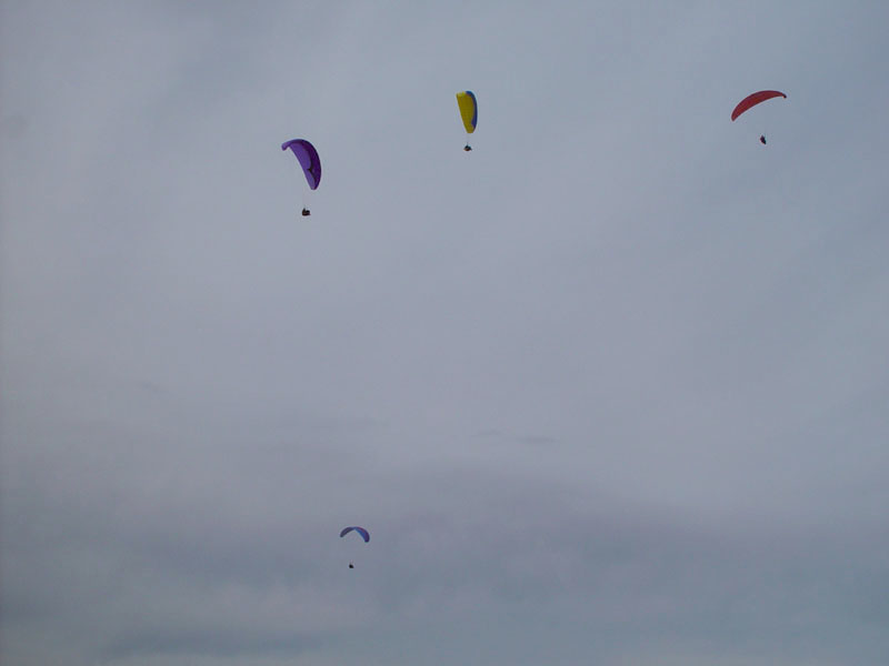 DSC03004.jpg
